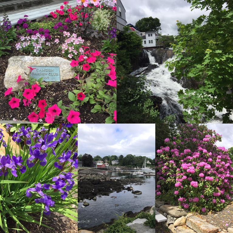 Camden Riverhouse Hotel And Inn Luaran gambar